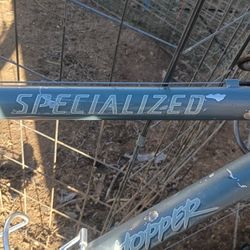 Specialized