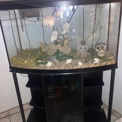 Fish Tank W Accessories 