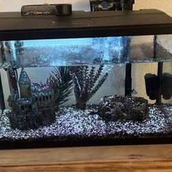 10 Gal Fish Tank And Supplies 