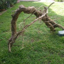 Natural Driftwood For Aquariums Terrariums Decor 