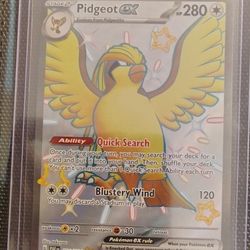 Pidgeot Ex