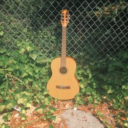 Temden Acoustic Guitar Model ESC105