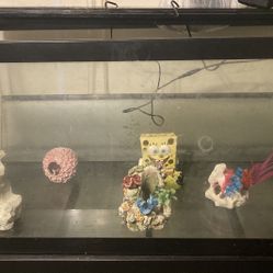 Rectangular Fish Tank With Original Stand