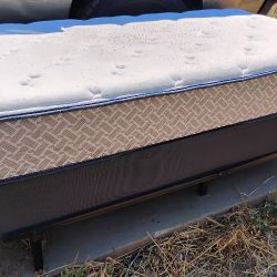 Twin Mattress And Box Spring 