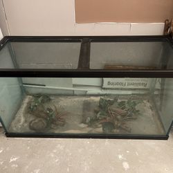 Large Terrarium Tank