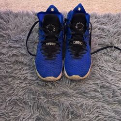 Nike Lebron 17s uninterrupted 