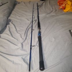 Two-Piece Fishing Rod