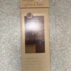 Lighted Tree 