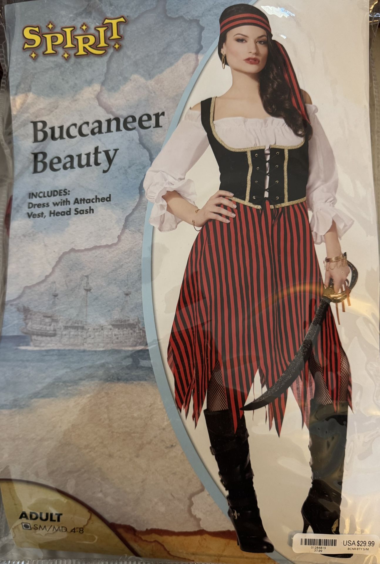 Pirate Halloween Costume