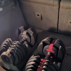 Bowflex Dumbells
