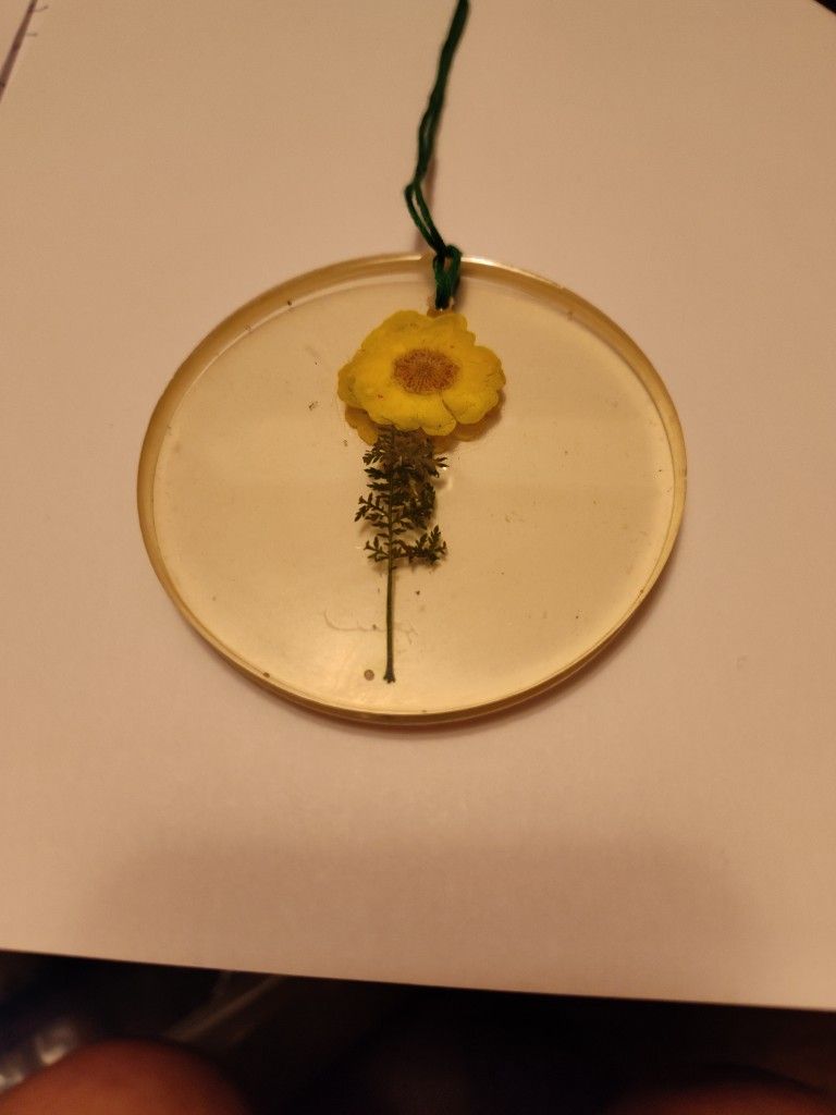 Sun Catcher Resin