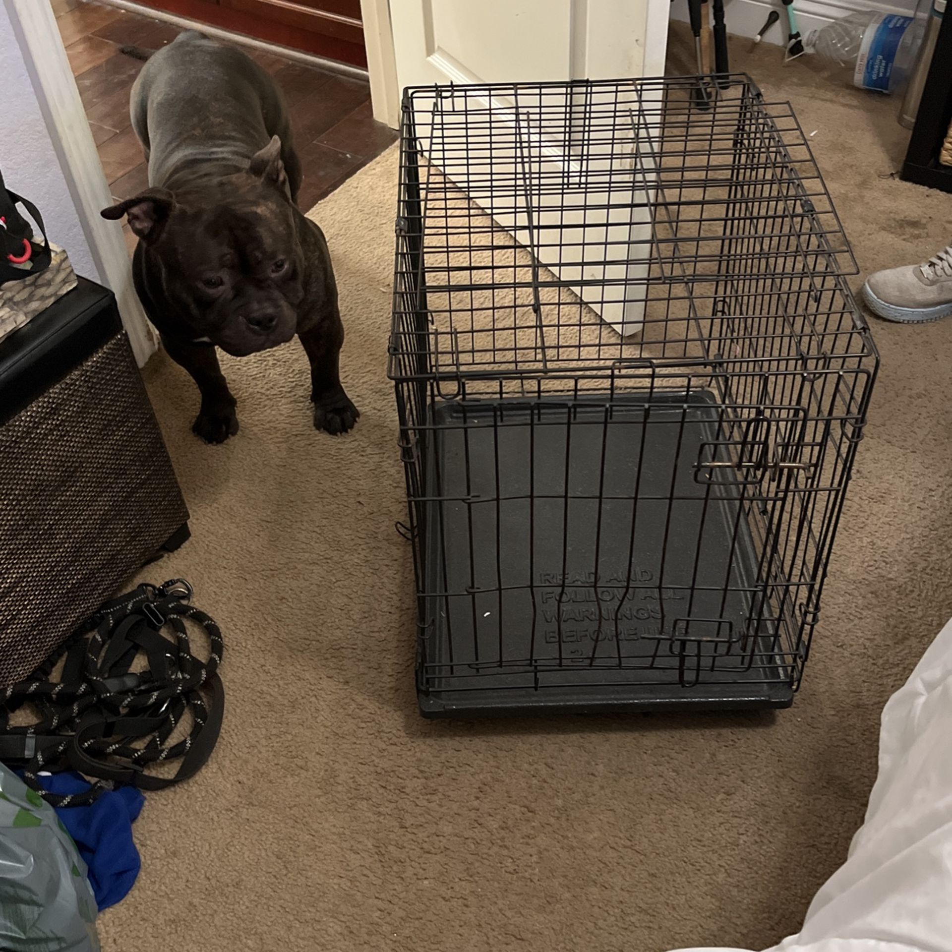 Medium Size Dog Kennel for Sale in Rancho Cordova, CA OfferUp