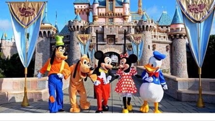 1 ticket para disneyland