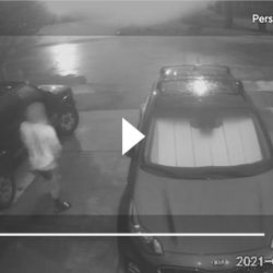 Look out for this guy in Rockwood