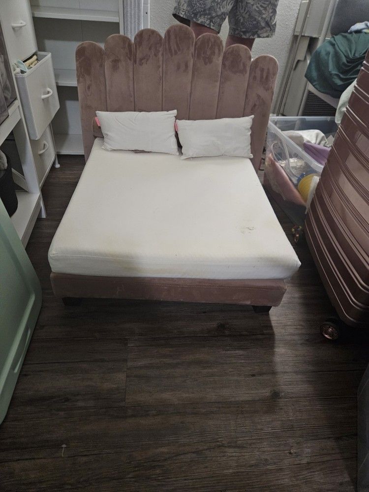 Hooman Dog Bed