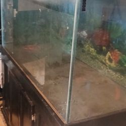 200 Gallon Tank With Stand Canopy And Equipment