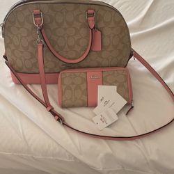Coach Purse And Wallet Authentic 