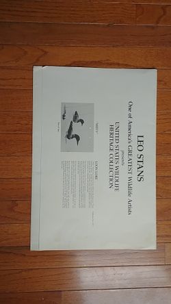 United States Wildlife Collection