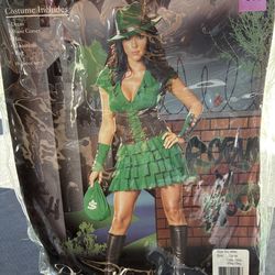 Robin Hood costume