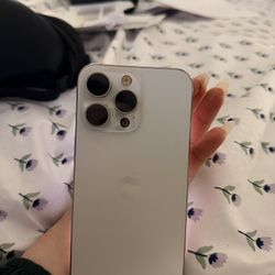 iPhone 15 Pro Max Silver 512 Gb 