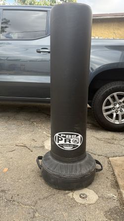Kicking/boxing Standing Pro Bag