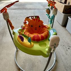 Fisher Price Baby Bouncer