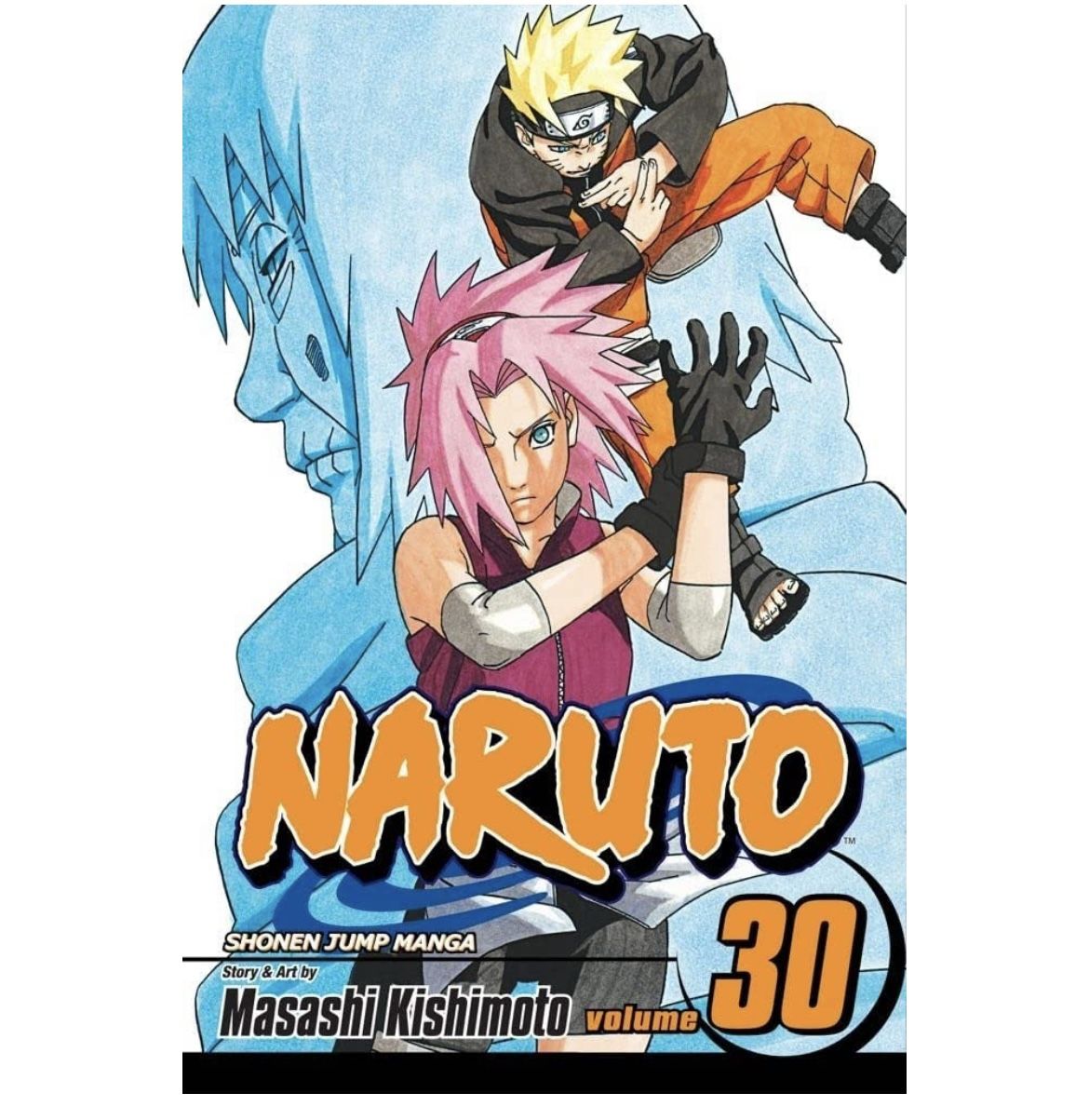 Naruto, Vol. 30: Puppet Masters Book