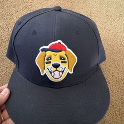 Retired Baseballism Hat 7 1/4