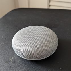 Google Echo