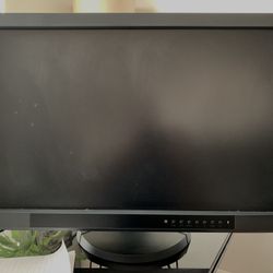 Computer Monitor Eizo 27”