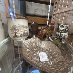 Cute Owl Tray