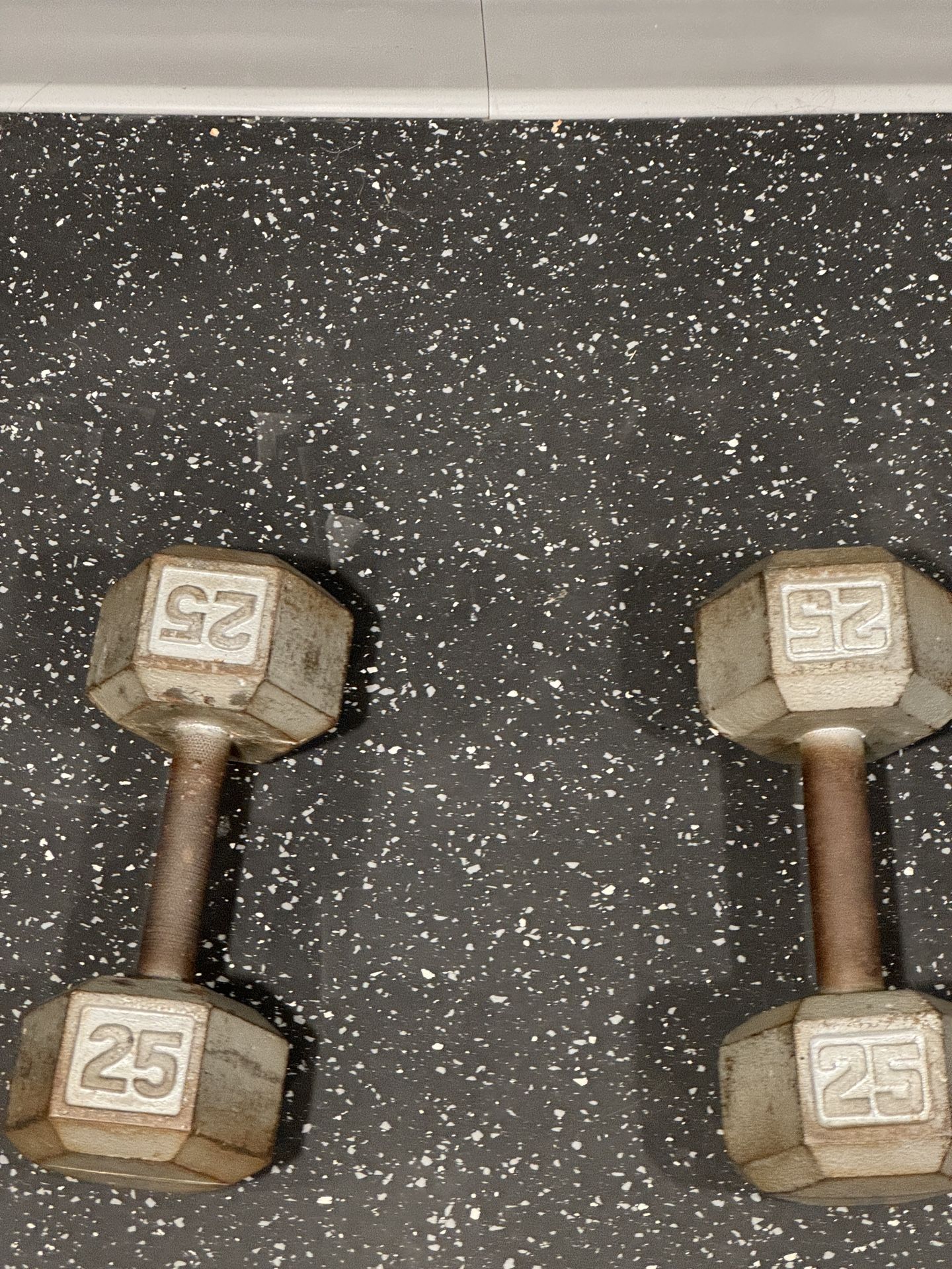 25 LB Dumbbells and 9 LB Medicine Ball