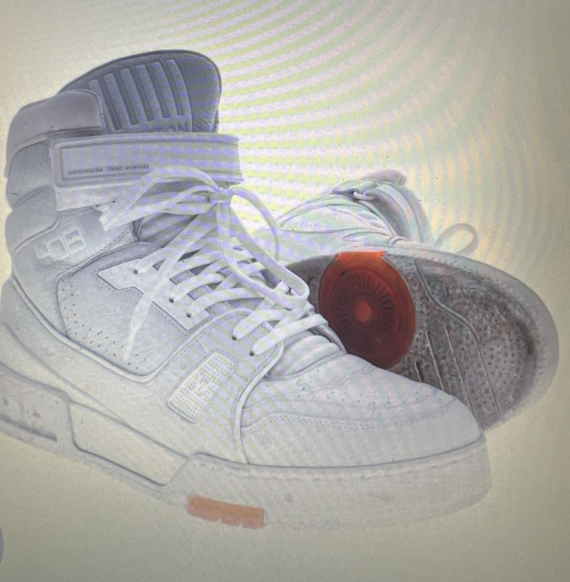 Louis Vuitton LV Trainer Sneaker 408 High Top Model GO 0129