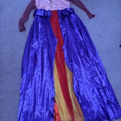 New xl princess dress costume gown Rennisance hocus pocus Victorian Bridgerton