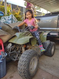 Polaris Quad