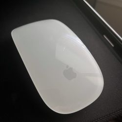 Apple Mouse