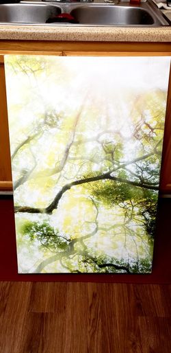 24"×36" Printed Canvas