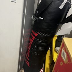 Heavy bag