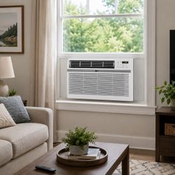 Lg 18000 BTU Window Air Conditioner 1000 square feet 220 volts