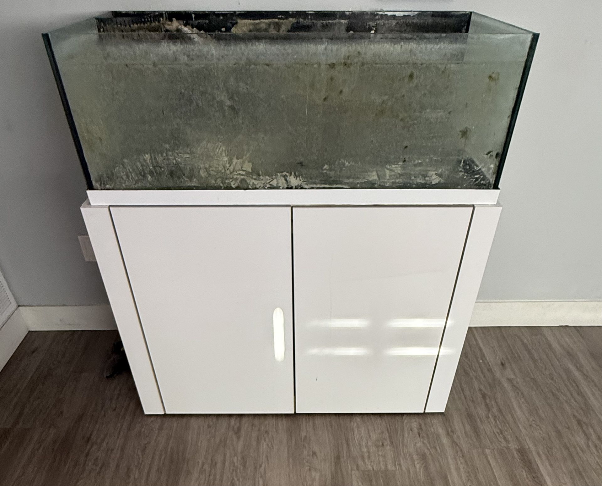 Reef Fish Tank 80 Gal Rimless