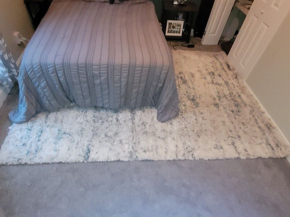 Safavieh Shag Rug 7x9
