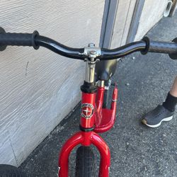 Schwinn Balance Bike - Issaquah