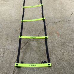 Fitness Ladder
