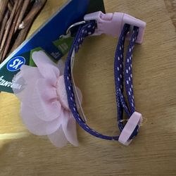 Brand New Small Dog Pet Collar