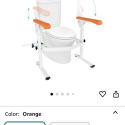 Toilet Seat With Safety Rails 