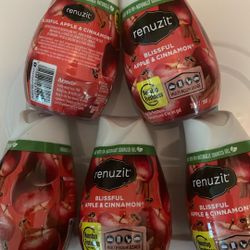 5 Renuzit Apple Cinnamon 
