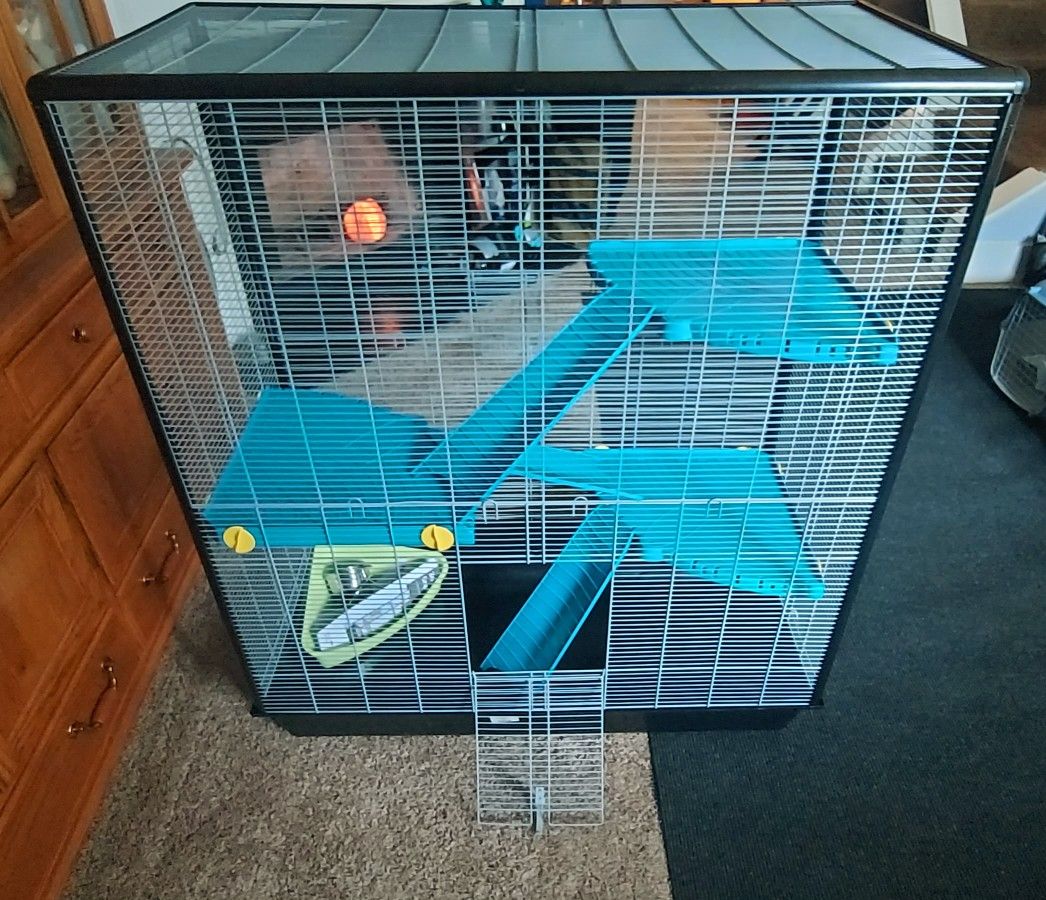 Multi Level Pet Enclosure
