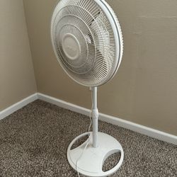 Fans $5