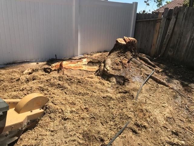 Stump Grinding 