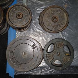 Weight Plates